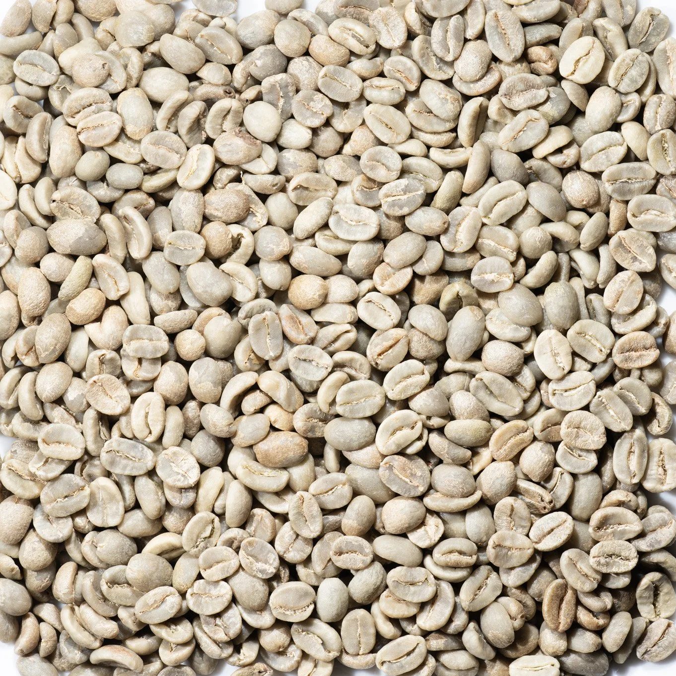 Colombia green coffee photograph