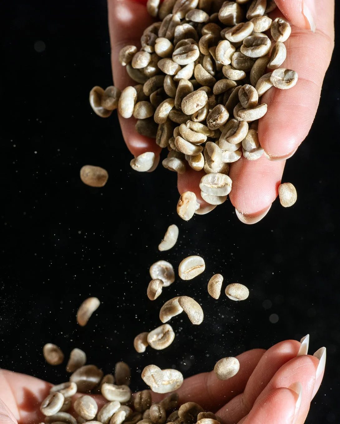 Sample green coffee photograph. Not a listed MRGT origin.