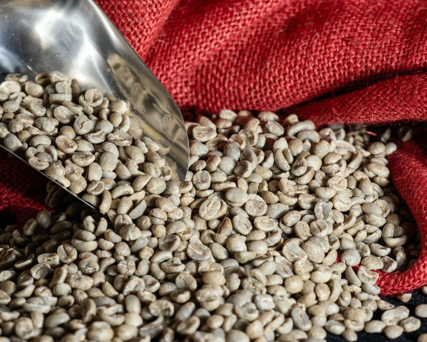 Sample green coffee photograph. Not a listed MRGT origin.