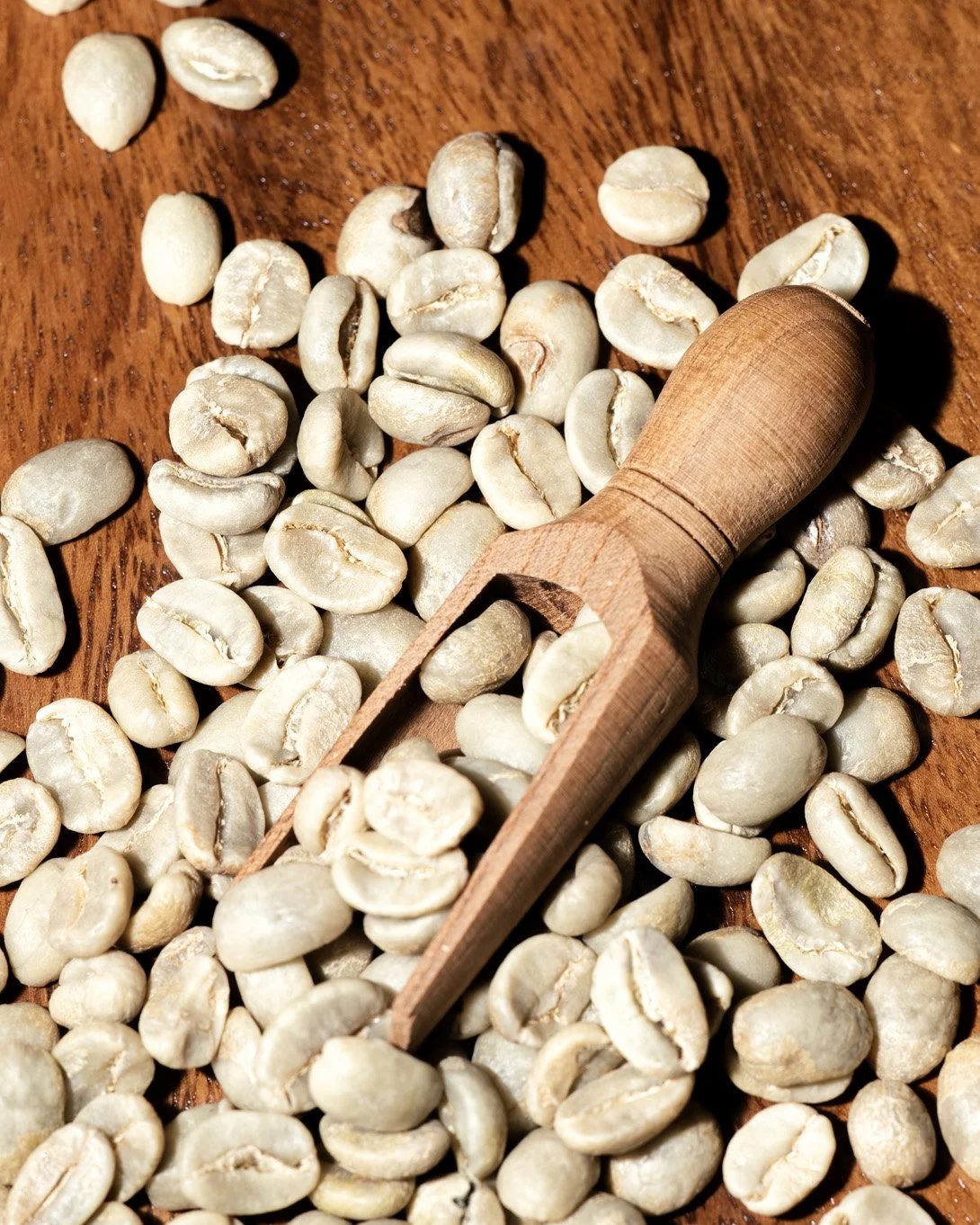 Sample green coffee photograph. Not a listed MRGT origin.