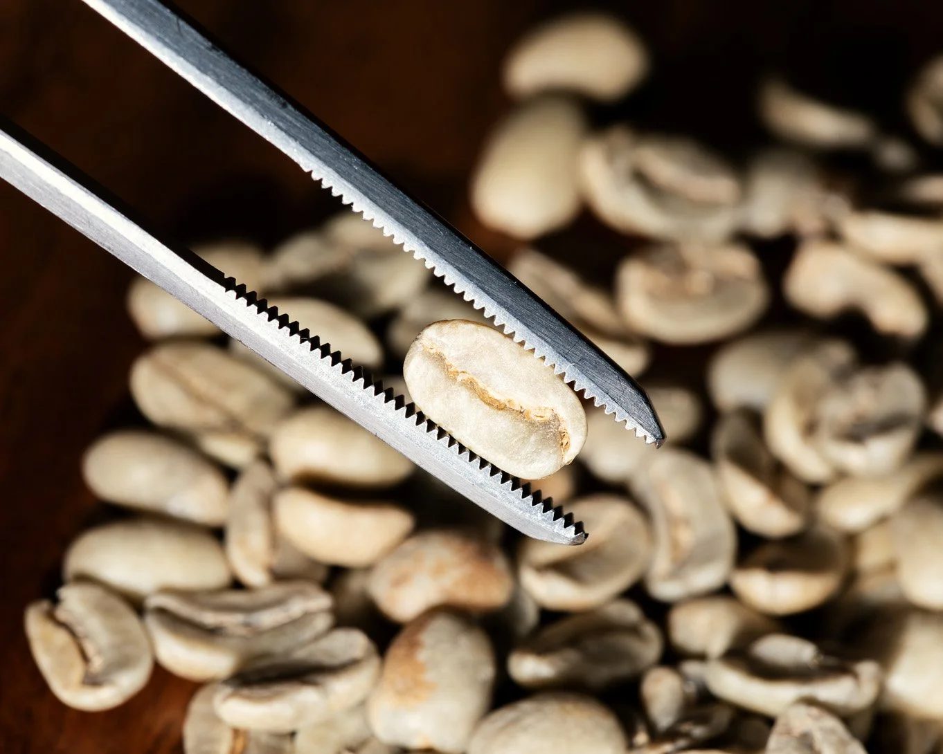 Sample green coffee photograph. Not a listed MRGT origin.