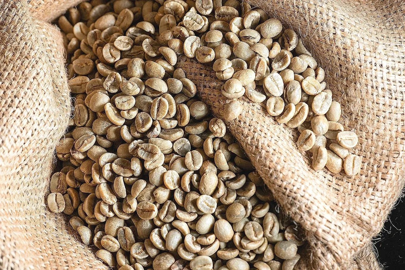 Sample green coffee photograph. Not a listed MRGT origin.