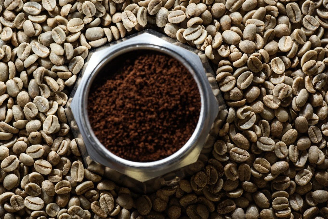 Uganda green coffee photograph