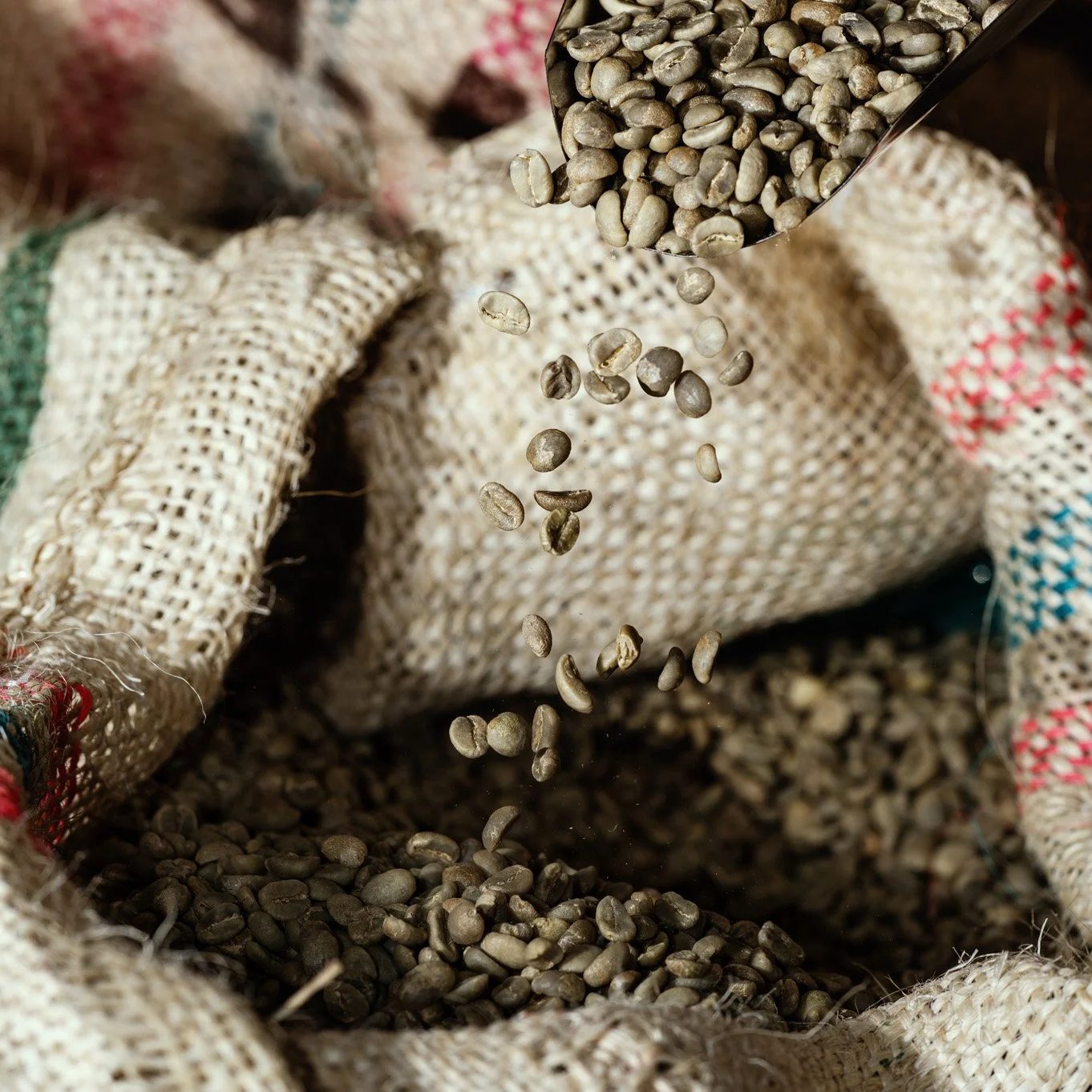 Green coffee product photograph