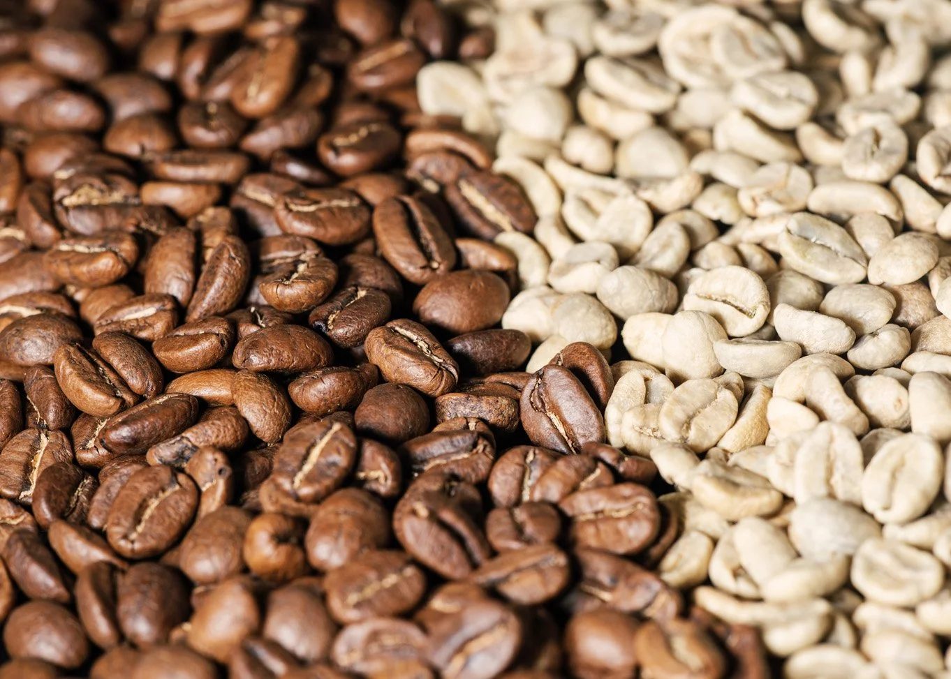 Green coffee product photograph