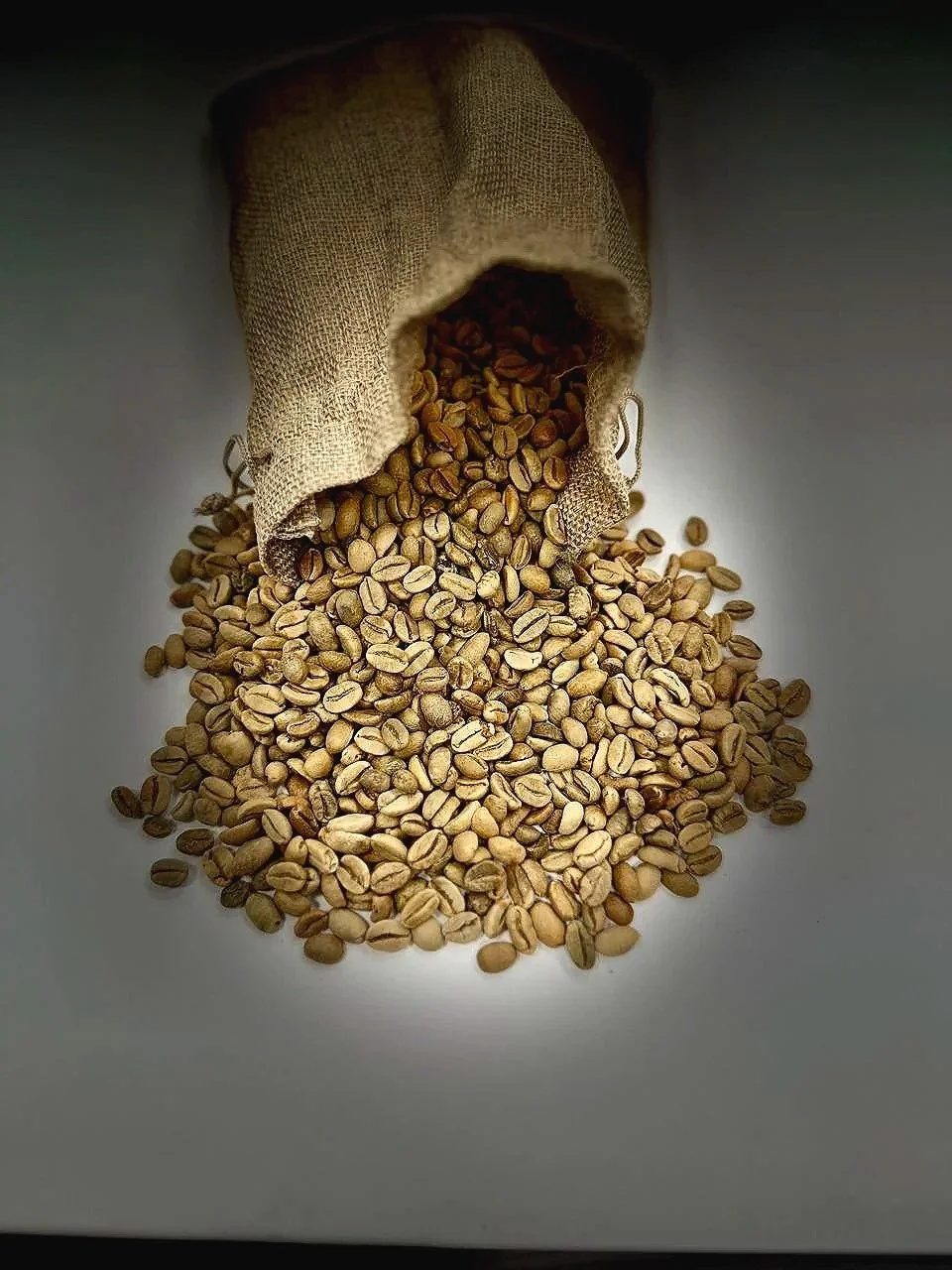 Green coffee product photograph